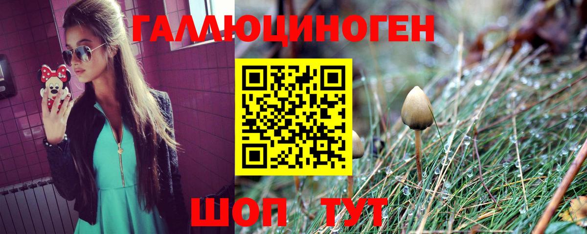 Галлюциногенные грибы MAGIC MUSHROOMS  Вход с VPN  Медногорск 